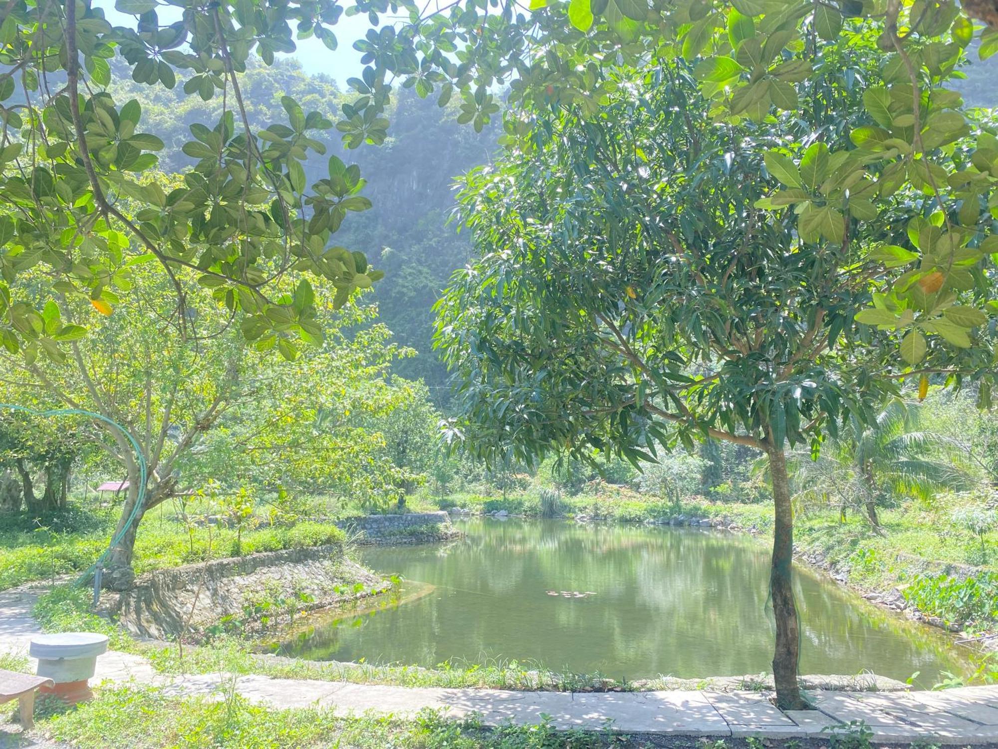 Tam Coc Moutainside Homestay Ninh Bình Extérieur photo